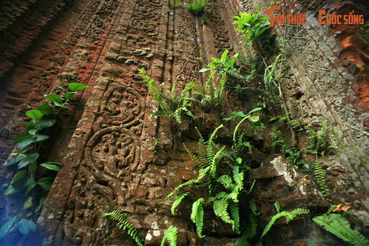 Cây cỏ dại mọc trên tháp trước khi trùng tu.