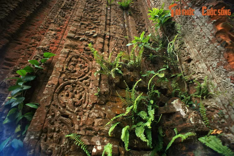 Cây cỏ dại mọc trên tháp trước khi trùng tu.