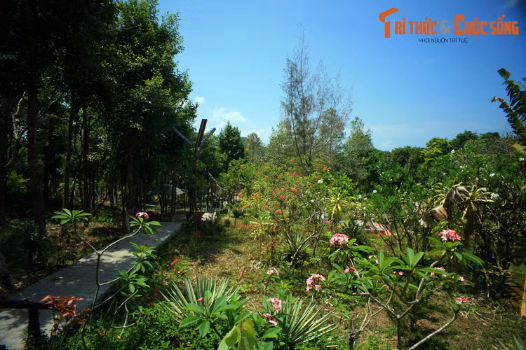 Đi vào sử sách với cái tên "Bình San điệp thúy" (tiêu đề một bài thơ của Mạc Thiên Tứ, nghĩa là "quả núi như bức bình phong, màu xanh trập trùng), ngọn núi này có đỉnh bằng phẳng, được bao phủ bởi một thảm cây cối xanh tươi, tạo một cảm giác rất yên bình cho những ai có dịp ghé thăm.