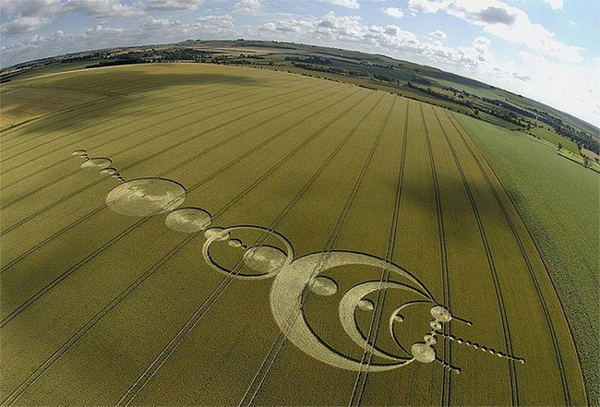 Một vòng rộng tới 183m với hình thù kỳ lạ giống như hình con sứa khổng lồ xuất hiện trên cánh đồng lúa mạch tại Kingstone Coobes, Oxford. Đây là một trong những vòng hình thù kỳ lạ nhất trên thế giới.