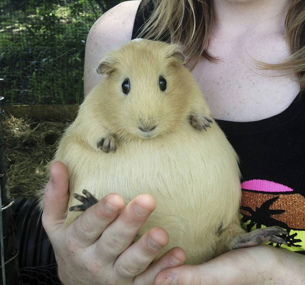 Khuôn mặt ngây thơ như thế này mà đã lên chức mẹ rồi đấy nhé.