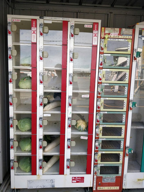 Máy bán hàng tự động để bán rau và trái cây, thậm chí cả bia.