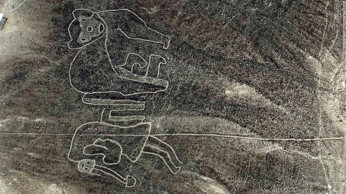 Nazca Lines hình con người và con khỉ đuôi xoắn ốc