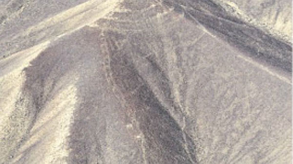 Một phi công có tên Eduardo Herrán Gómez de la Torre mới đây đã phát hiện các hình vẽ về một con rắn dài chừng 60 mét và một giống lạc đà tọa lạc ở phía trên hình vẽ về một loài chim chưa nhận diện được, khi bay qua vùng thung lũng El Ingenio và các quả đồi Pampas de Jumana ở sa mạc Peru.