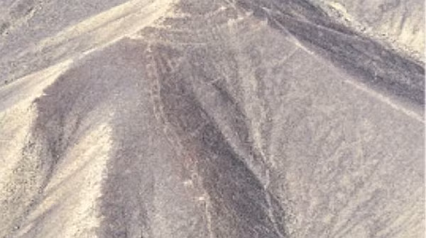 Một phi công có tên Eduardo Herrán Gómez de la Torre mới đây đã phát hiện các hình vẽ về một con rắn dài chừng 60 mét và một giống lạc đà tọa lạc ở phía trên hình vẽ về một loài chim chưa nhận diện được, khi bay qua vùng thung lũng El Ingenio và các quả đồi Pampas de Jumana ở sa mạc Peru.