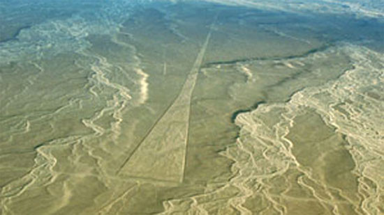 Tổng cộng có khoảng 300 hình về chim, thú cùng các hình hình học, được vẽ với độ chính xác cực cao. Điều đáng nói là những hình vẽ này rất lớn, trải rộng hàng dặm và phải bay lên một độ cao nhất định mới nhìn được toàn cảnh của hình vẽ.