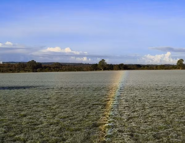 Lớp mạng nhện mỏng phủ đầy cánh đồng vô tình góp phần tạo ra cầu vồng trên mặt đất đẹp mắt