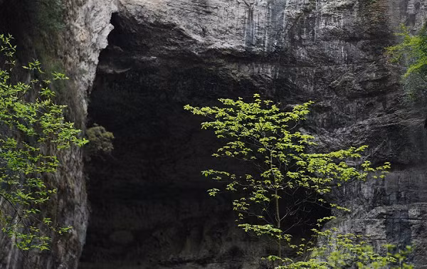 Nhìn vách đá Didonghe Tiankeng đổ thẳng xuống là một dòng sông ngầm, các hang động thông với nhau, một khu rừng nguyên sinh rậm rạp và huyền bí.