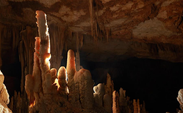 Ngoài ra, trong hang động còn có nhiều hóa thạch, tất cả đều ở dạng nguyên thủy, chưa có tác động của con người, nên những ai may mắn đến được nơi này sẽ thấy được tất cả các loại thạch nhũ cực kỳ đẹp.