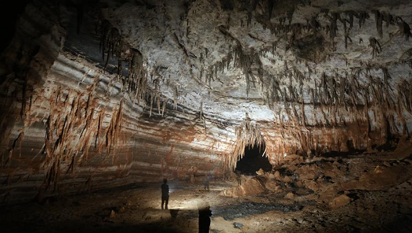 Những măng đá và cột đá thẳng đứng ở Didonghe Tiankeng cực kỳ đáng kinh ngạc. Du khách có thể chiêm ngưỡng những bông hoa đá rất tinh xảo và mượt mà, có hình dạng độc đáo.