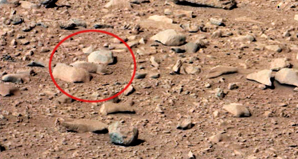 Ngày 28/9/2012, Curiosity chụp lại khu vực cồn cát Rocknest. Nhà săn UFO nổi tiếng Scott C. Waring ngay lập tức phát hiện hình ảnh con sóc trong ảnh, gọi nó là “loài gặm nhấm dễ thương trên sao Hỏa”. Tuy nhiên, rõ ràng, đây chỉ là hòn đá nhỏ nằm giữa những hòn đá khác.