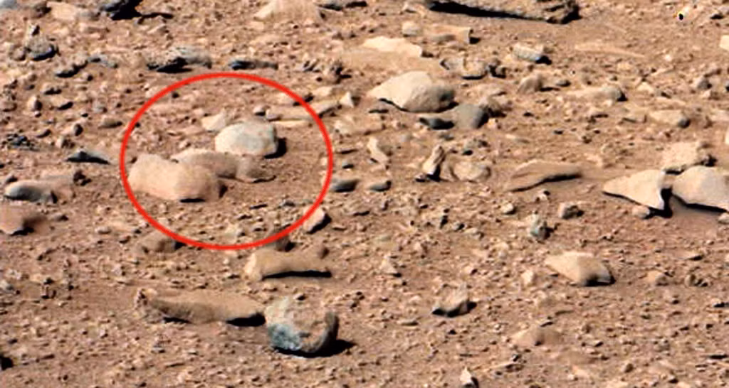 Ngày 28/9/2012, Curiosity chụp lại khu vực cồn cát Rocknest. Nhà săn UFO nổi tiếng Scott C. Waring ngay lập tức phát hiện hình ảnh con sóc trong ảnh, gọi nó là “loài gặm nhấm dễ thương trên sao Hỏa”. Tuy nhiên, rõ ràng, đây chỉ là hòn đá nhỏ nằm giữa những hòn đá khác.