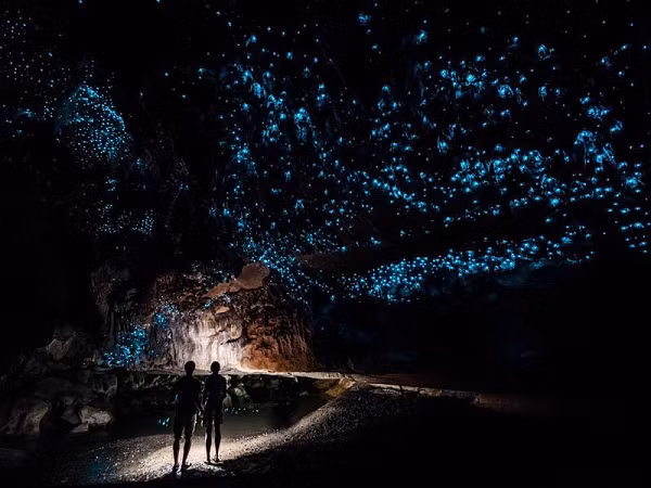 Động đom đóm Waitamo ở New Zealand là một trong những hang động đẹp nhất và độc đáo nhất trên thế giới.