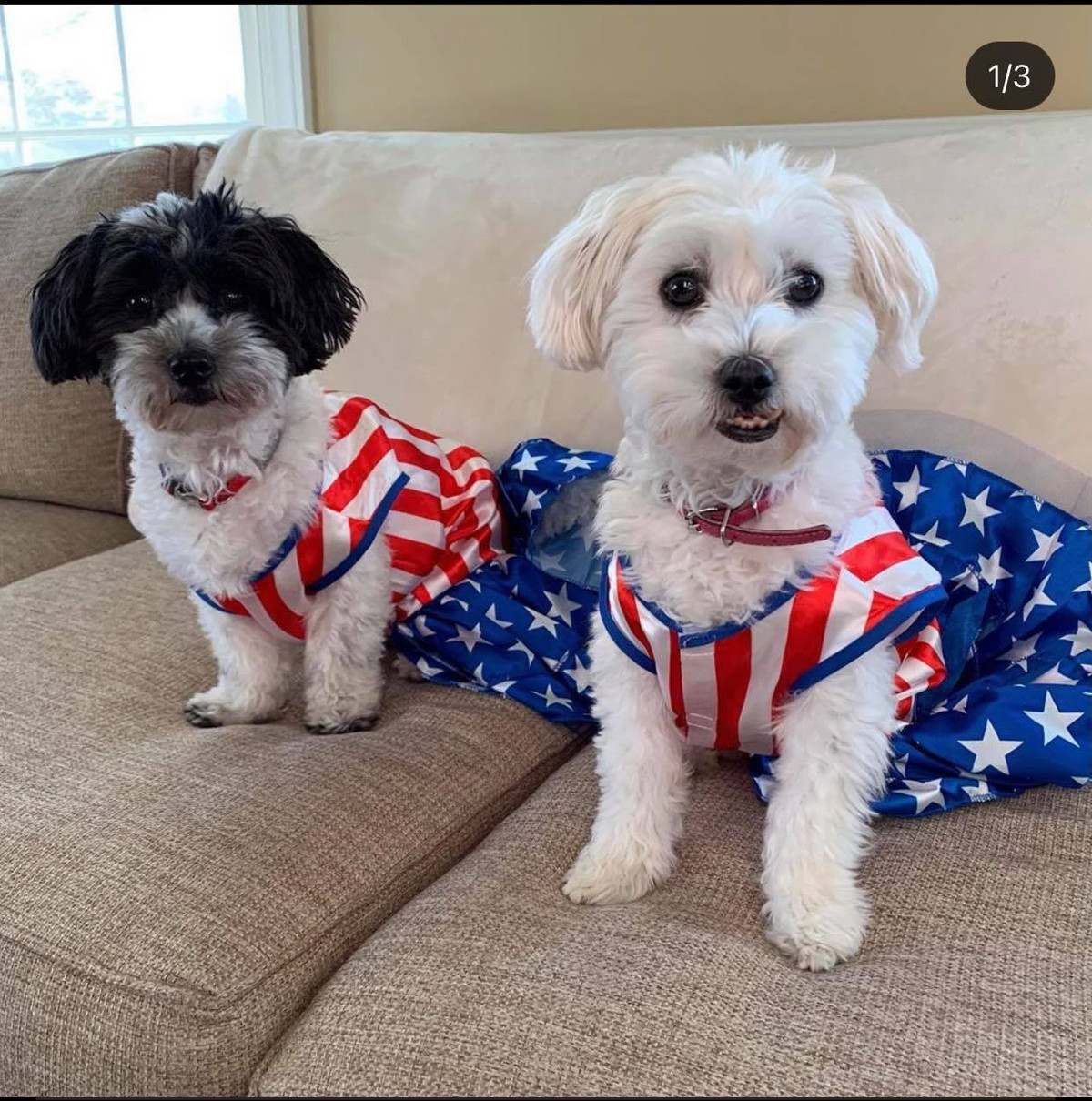 Phải diện ngay chiếc váy theo trend bầu cử cực xinh xắn mới được.