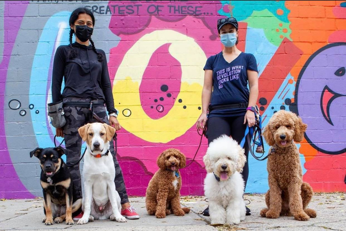 Đi bỏ phiếu cũng phải có bạn có bè cho vui vẻ náo nhiệt.