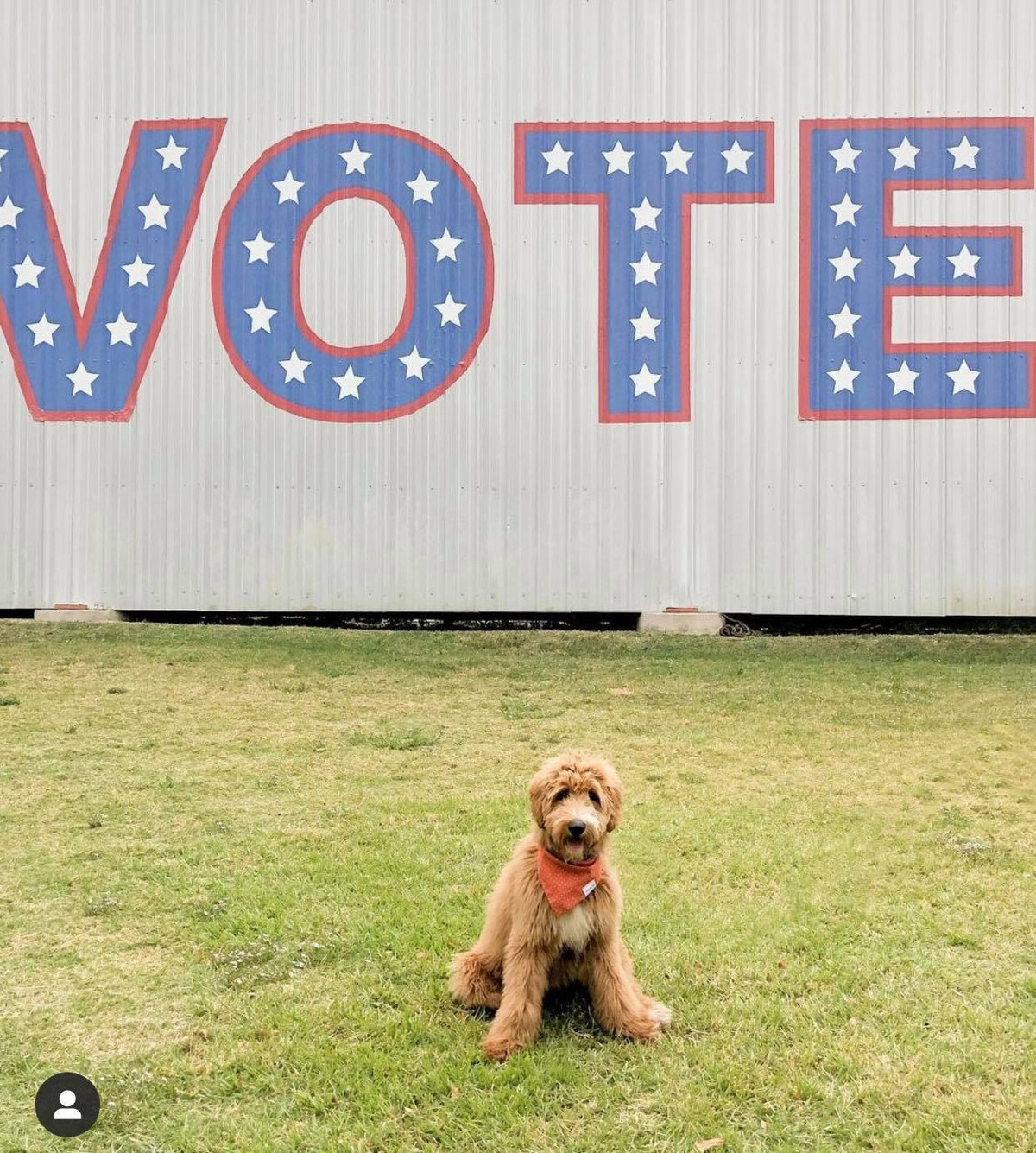 Đứng vào đi để cô chủ chụp cho một tấm kỉ niệm nào.