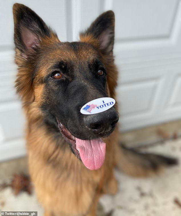 Hay ở nhà và bỏ phiếu quá thư.