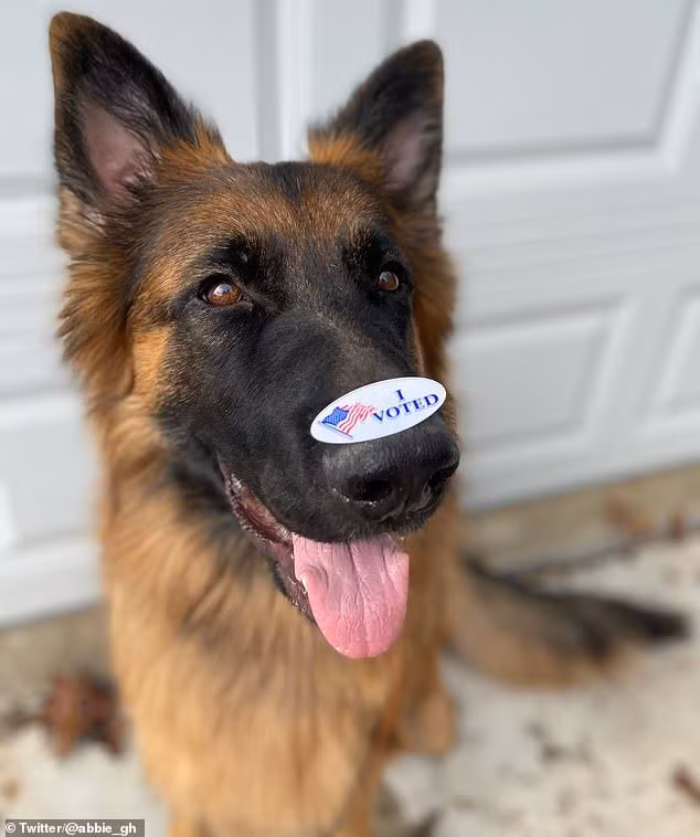 Hay ở nhà và bỏ phiếu quá thư.