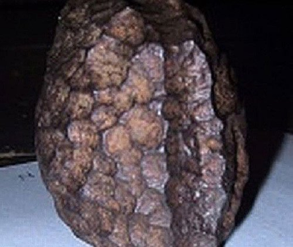 Sự thật về đá Salzburg Cube vẫn còn là một bí ẩn. Theo một nghiên cứu sâu hơn của Bảo tàng Lịch sử Tự nhiên Vienna đã chứng minh rằng vật thể lạ trên không phải là thiên thạch mà có thể là một vật thể nhân tạo nhưng chưa xác định được nguồn gốc của nó. Các nhà nghiên cứu cũng khẳng định, Salzburg Cube đã có ít nhất 60 triệu năm tuổi.