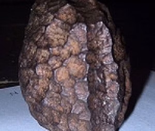 Sự thật về đá Salzburg Cube vẫn còn là một bí ẩn. Theo một nghiên cứu sâu hơn của Bảo tàng Lịch sử Tự nhiên Vienna đã chứng minh rằng vật thể lạ trên không phải là thiên thạch mà có thể là một vật thể nhân tạo nhưng chưa xác định được nguồn gốc của nó. Các nhà nghiên cứu cũng khẳng định, Salzburg Cube đã có ít nhất 60 triệu năm tuổi.