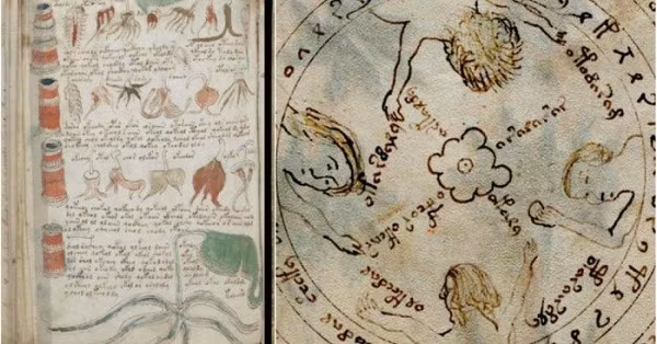 Nó cũng đầy rẫy những biểu tượng và hình vẽ minh họa kỳ quái mà chẳng ai có câu trả lời chính xác.