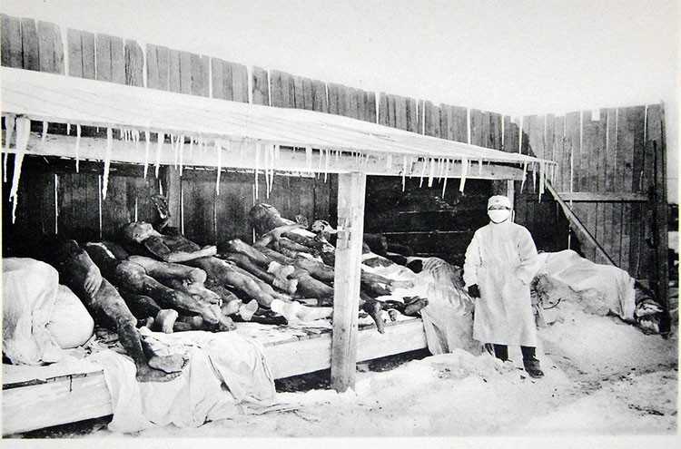 Phát xít Nhật đã thực hiện một thí nghiệm tàn ác trong thời chiến. Các "nhà khoa học" ở đây tiến hành giải phẫu sống trên các tù nhân đó mà không cần thuốc gây tê để nghiên cứu bệnh. Họ khoét mổ phần thân giữa của các tù nhân, sau đó cấy mầm bệnh sốt Rickettsia và bệnh dịch tả. Những người sống sót sẽ bị treo cổ tới chết.