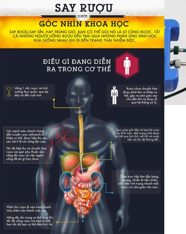 Tổ chức Y tế Thế giới (WHO) cho biết rượu bia là nguyên nhân của hơn 200 tình trạng bệnh tật, tai nạn giao thông và thương tích có thể tránh khỏi. Mỗi năm trên thế giới có khoảng 3 triệu người tử vong do ngộ độc rượu và các tác hại từ rượu bia.