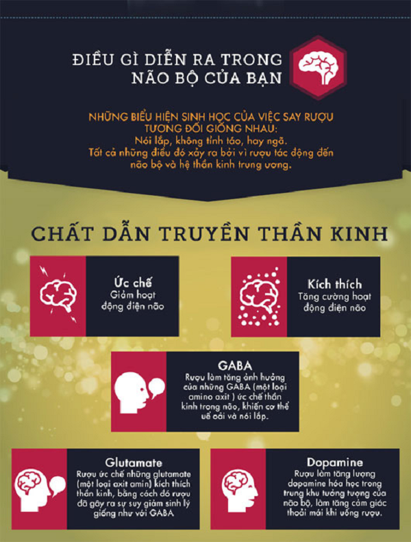 Vậy say rượu thực chất là gi dưới góc nhìn khoa học?