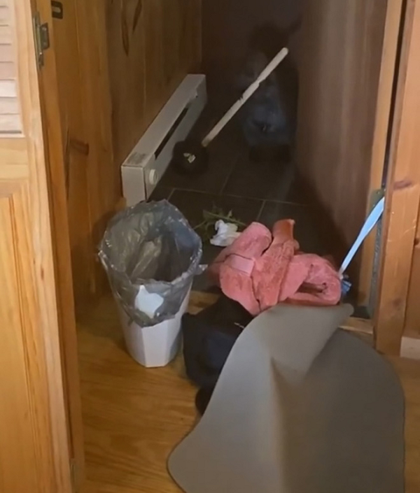 Nancy cho biết: “Beave bắt đầu xây đập bằng các vật dụng trong nhà, và tối nào cu cậu cũng miệt mài với công việc này. Cứ mỗi khi tôi dọn dẹp xong là y như rằng Beave bày vẽ trở lại. may mắn là nó vẫn chưa dám tự mình xây đập ở những khu vực có nước thật mà chỉ quanh quẩn trong nhà mà thôi”.