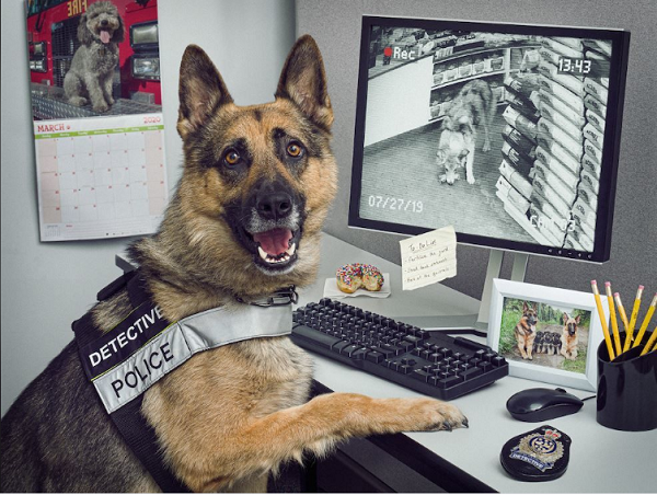 Từ quan sát hiện trường,...