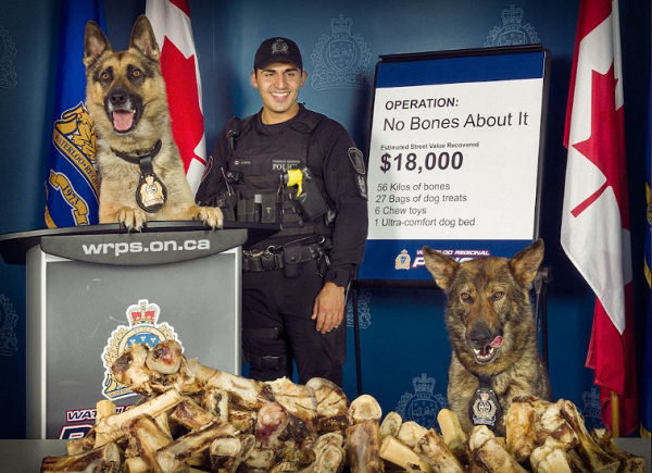 Thành quả làm việc không mệt mỏi của những cảnh khuyển hoàn toàn xứng đáng.