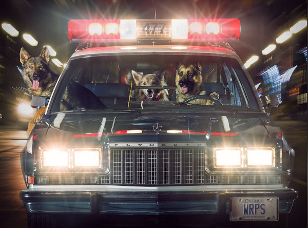 Là những tay lái lụa và ngoan cường khiến tội phạm phải dè chứng.