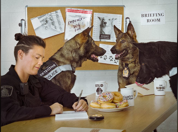 Đến họp bàn kế hoạch đều rất chỉn chu và nghiêm túc.