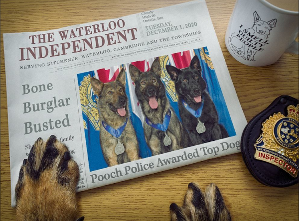 Thậm chí còn được tuyên dương trên báo của địa phương.