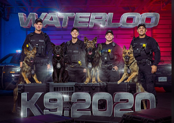 Hình cover: Cảnh sát khu vực Waterloo 2020 Lịch K9. Cảnh sát vùng Waterloo đã chọn một chủ đề độc đáo hơn so với mọi năm và đặc biệt hơn tất cả mọi người - Bộ ảnh Lịch trang trí với chủ đề những chú chó nghiệp vụ đang hoạt động cùng mọi người tại đây.