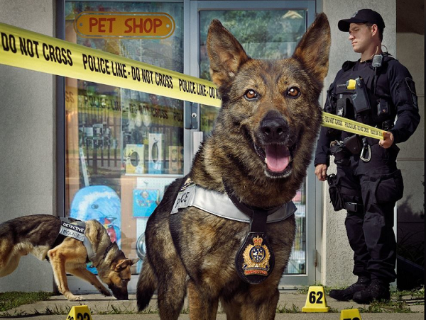 Bộ lịch này kể câu chuyện về Ranger, Grim, Chase và Tracker, khi họ làm việc để giải quyết một vụ trộm xương chó - với một chút trợ giúp từ hai người bạn là con người của họ.