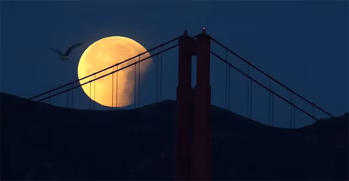 Vì Mặt Trăng không đi sâu vào bóng đen của Trái Đất vì thế Mặt Trăng sẽ không tối và đỏ sẫm như nguyệt thực toàn phần hay một phần, mà chỉ chuyển sang màu đỏ đậm hơn và tối hơn bình thường một chút.