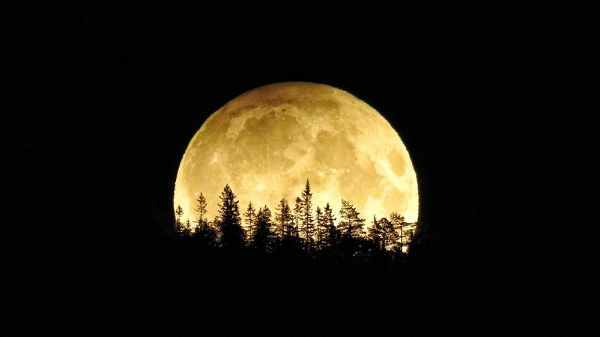 Những khu vực lý tưởng để theo dõi nguyệt thực nửa tối gồm có hầu hết Bắc Mỹ, Thái Bình Dương và Đông Bắc Á. Tại Việt Nam cũng có thể theo quan sát được phần nào hiện tượng thiên văn học này.