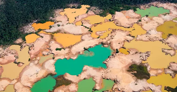 Tại rừng Amazon nhưng ở Peru, một nhóm người chặt phá rừng để dựng lên mỏ vàng bất chính.