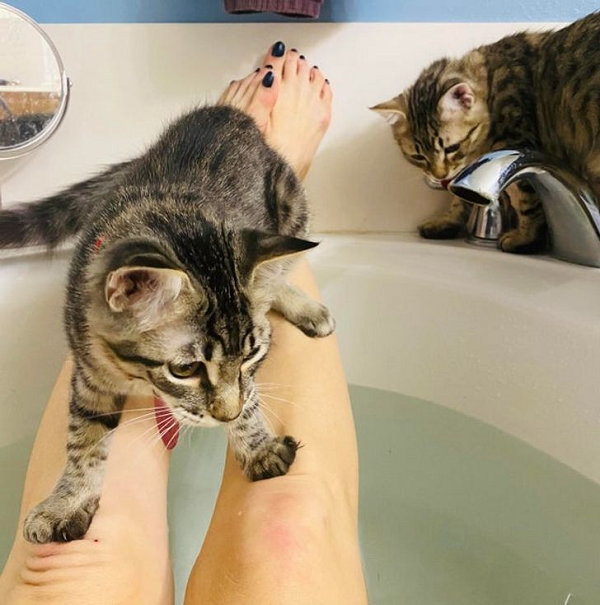 Tắm cũng phải đưa chúng tôi theo với chứ!!