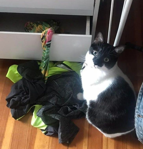 Gập quần áo chưa đạt yêu cầu, hãy gập lại đi nhé!