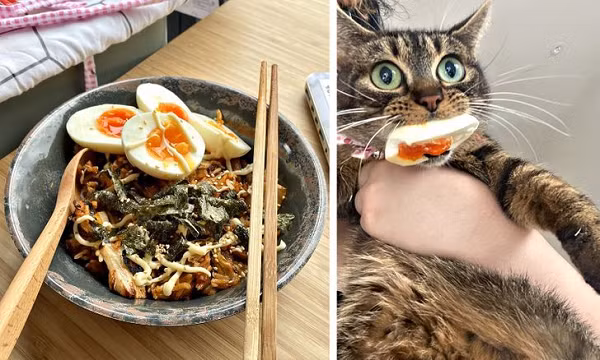 Kẻ trộm nhanh nhẹn ăn cắp được một nửa quả trừng và ngậm chặt không buông.