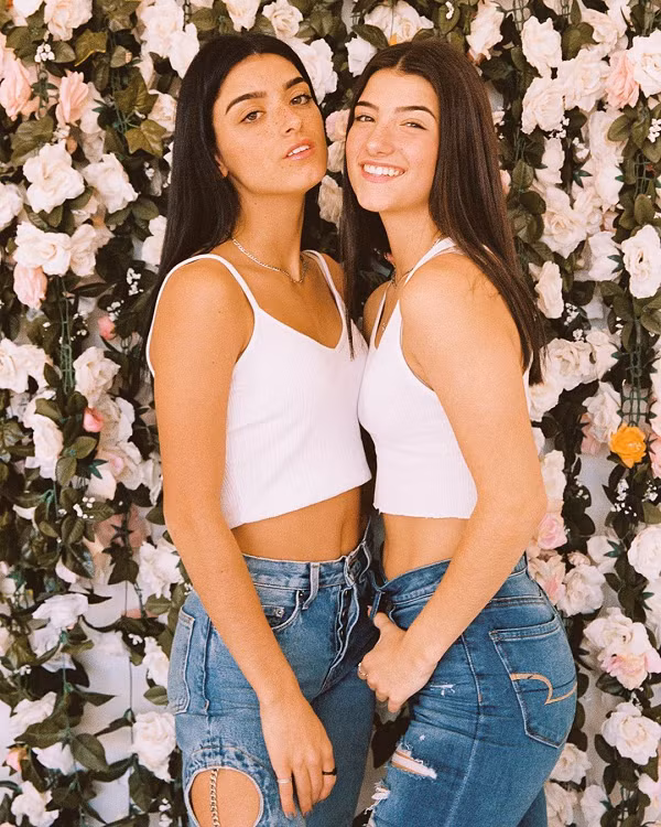 Tuy nhiên, đi đôi với danh tiếng và tiền bạc, cặp chị em “nữ hoàng TikTok” cũng gặp phải không ít phiền phức. Số lượng người theo dõi tăng vọt tỉ lệ thuận với những bình luận tiêu cực mà chị em nhà D'Amelio phải nhận được mỗi ngày.