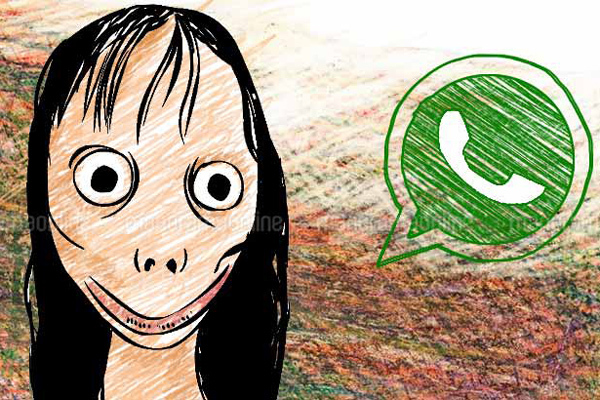 Theo cơ quan chức năng nghi vấn ban đầu cháu L. tử vong với tình trạng như trên có thể do học theo "thử thách Momo" trên mạng xã hội. Thử thách momo (Momo Challenge) là một trò lừa bịp về một thử thách trên Internet được lan truyền bởi người dùng trên mạng xã hội và các phương tiện truyền thông.