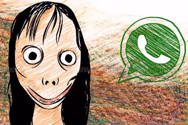 Theo cơ quan chức năng nghi vấn ban đầu cháu L. tử vong với tình trạng như trên có thể do học theo "thử thách Momo" trên mạng xã hội. Thử thách momo (Momo Challenge) là một trò lừa bịp về một thử thách trên Internet được lan truyền bởi người dùng trên mạng xã hội và các phương tiện truyền thông.