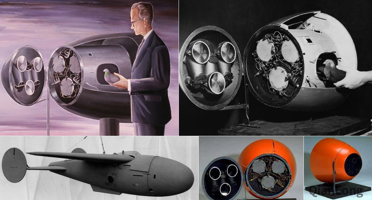 Nhà nghiên cứu Skinner nhận định chim bồ câu là loài vật có trí nhớ tuyệt vời. Tuy nhiên, để tăng độ chính xác, ông khuyến cáo các kỹ sư nên thả vào khoang tên lửa 3 con chim bồ câu. Theo nguyên tắc đa số, khi hai con mổ vào hình ảnh mục tiêu bị lệch tâm thì tên lửa mới chuyển hướng.