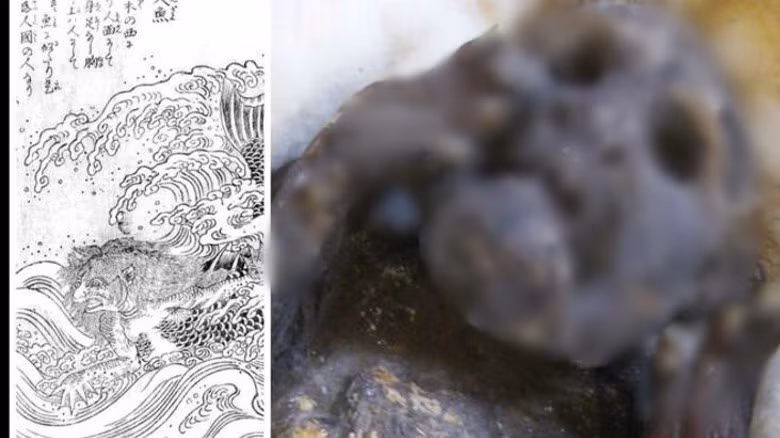 Phương pháp xác định niên đại phóng xạ cho thấy "nàng tiên cá" này được con người tạo ra vào cuối những năm 1800.