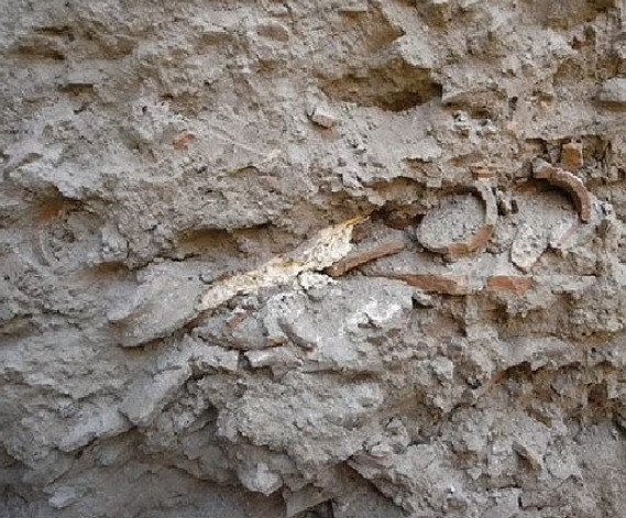 Tiến sĩ Hartwig Fischer, Giám đốc Bảo tàng Anh, cho biết: “Mặc dù kiến thức của chúng ta về nền văn minh Sumer ngày nay vẫn còn hạn chế nhưng Dự án Girsu và việc tìm thấy tàn tích cung điện và đền thờ có tiềm năng to lớn giúp chúng ta hiểu biết về nền văn minh quan trọng này, làm sáng tỏ quá khứ và thông báo cho tương lai”.