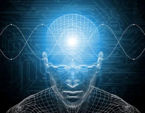 Trước sự việc này, một số chuyên gia cho rằng, con người có thể cảm nhận, linh cảm, tưởng tượng được một điều gì đó mà không cần phải dựa vào giác quan truyền thống như nhìn, nghe, nếm, ngửi và chạm để xác định.