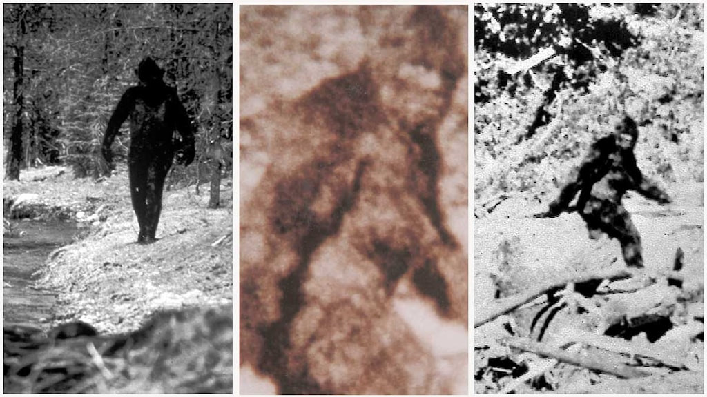 Giới chuyên gia đã nỗ lực tìm kiếm các manh mối tại những khu vực Bắc Mỹ mà quái vật Bigfoot được báo cáo xuất hiện. Thế nhưng, đến nay, họ vẫn chưa tìm thấy bằng chứng xác thực chứng minh quái vật Bigfoot thực sự tồn tại trên.